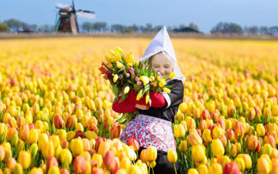 Keukenhof: do nejkrásnější „zahrady“ světa